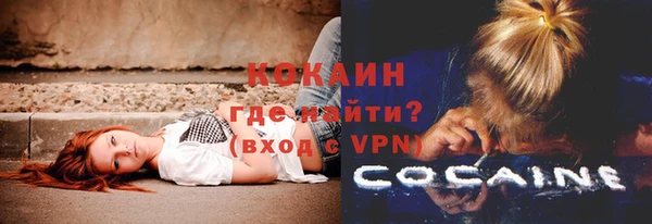 стаф Богданович