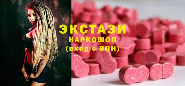 ECSTASY Бородино